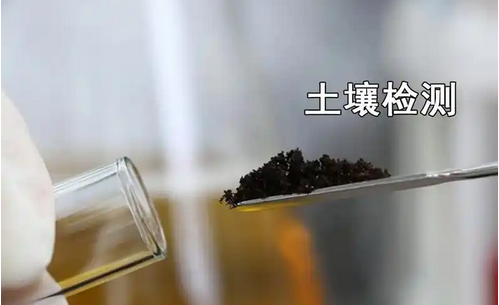 土壤檢測儀器廠家：為農(nóng)業(yè)生產(chǎn)保駕護航